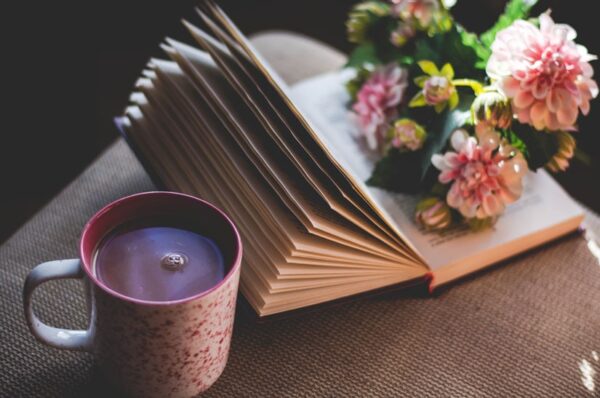 Novedades editoriales (novelas para esperar la primavera)